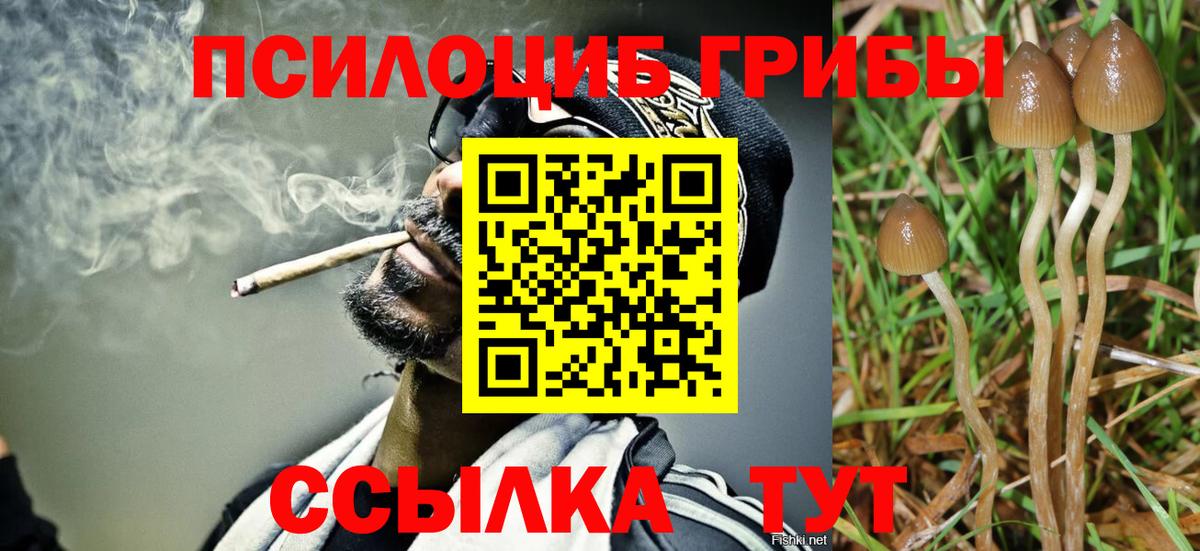 Советский  купить наркоту  Вход с VPN  Псилоцибиновые грибы ЛСД 