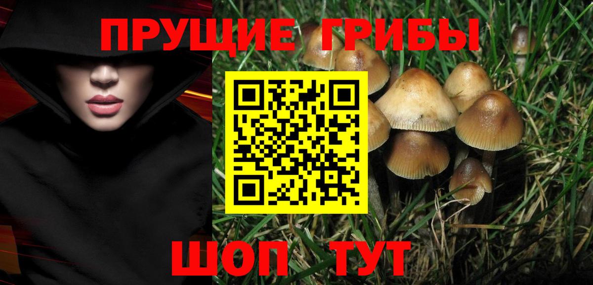 Псилоцибиновые грибы ЛСД Советский